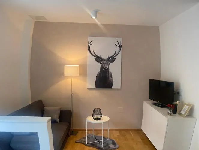 Appartement in Graz-Geidorf